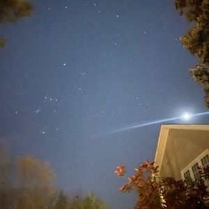 Meet your Posher, Lilly